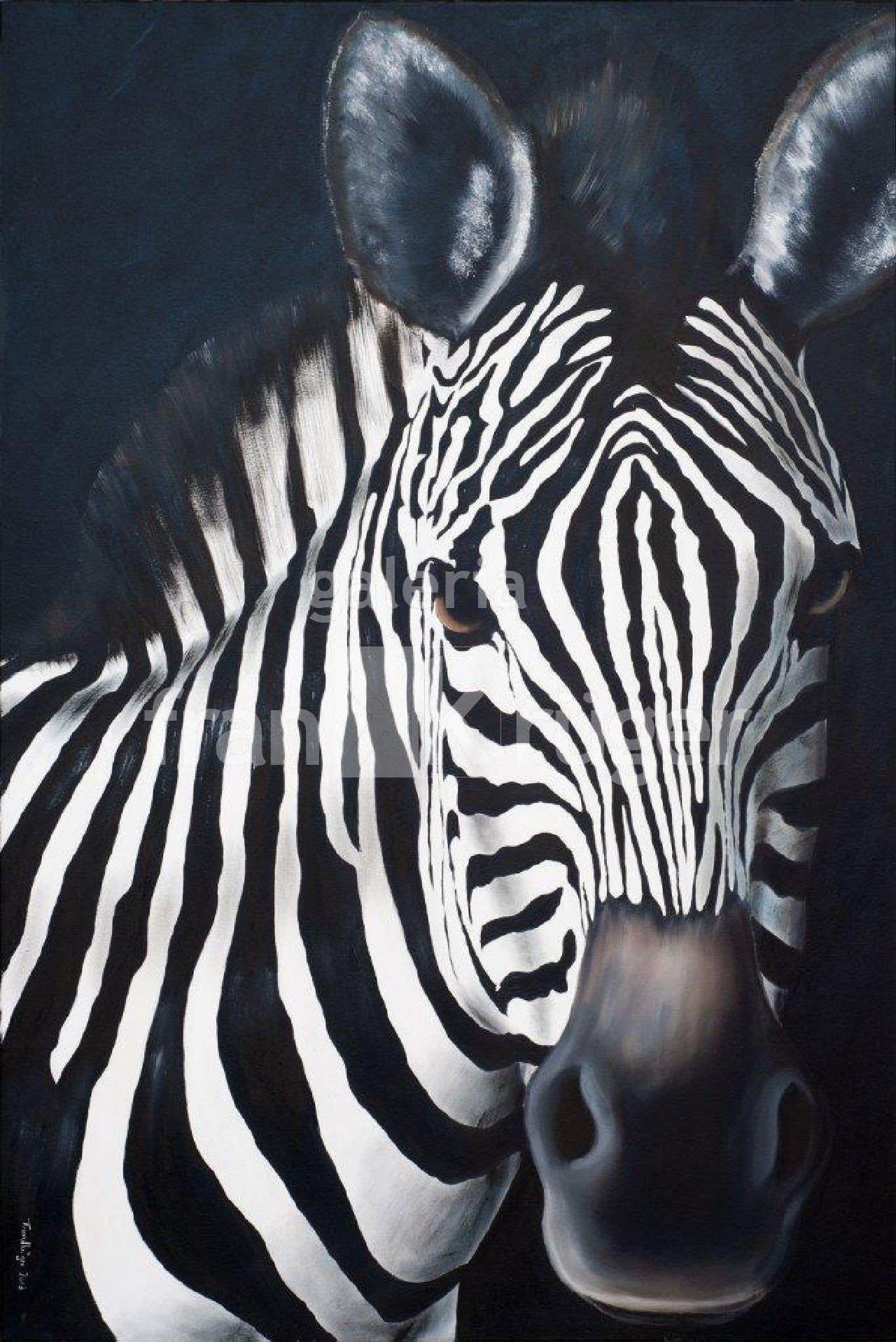 Zebrabild - Frank Krüger - Kunstdruck - Zebra auf Leinwand
