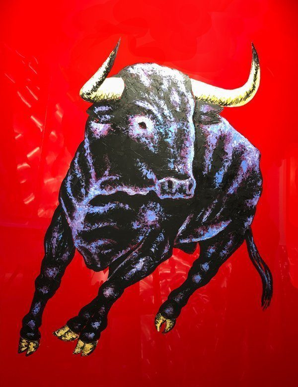 Bull Rubio