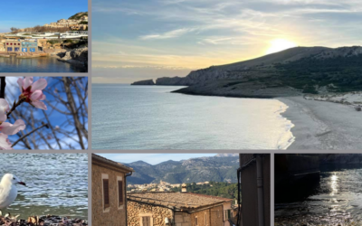 Facebook Lives from the island – Frank & Laura take you with them!