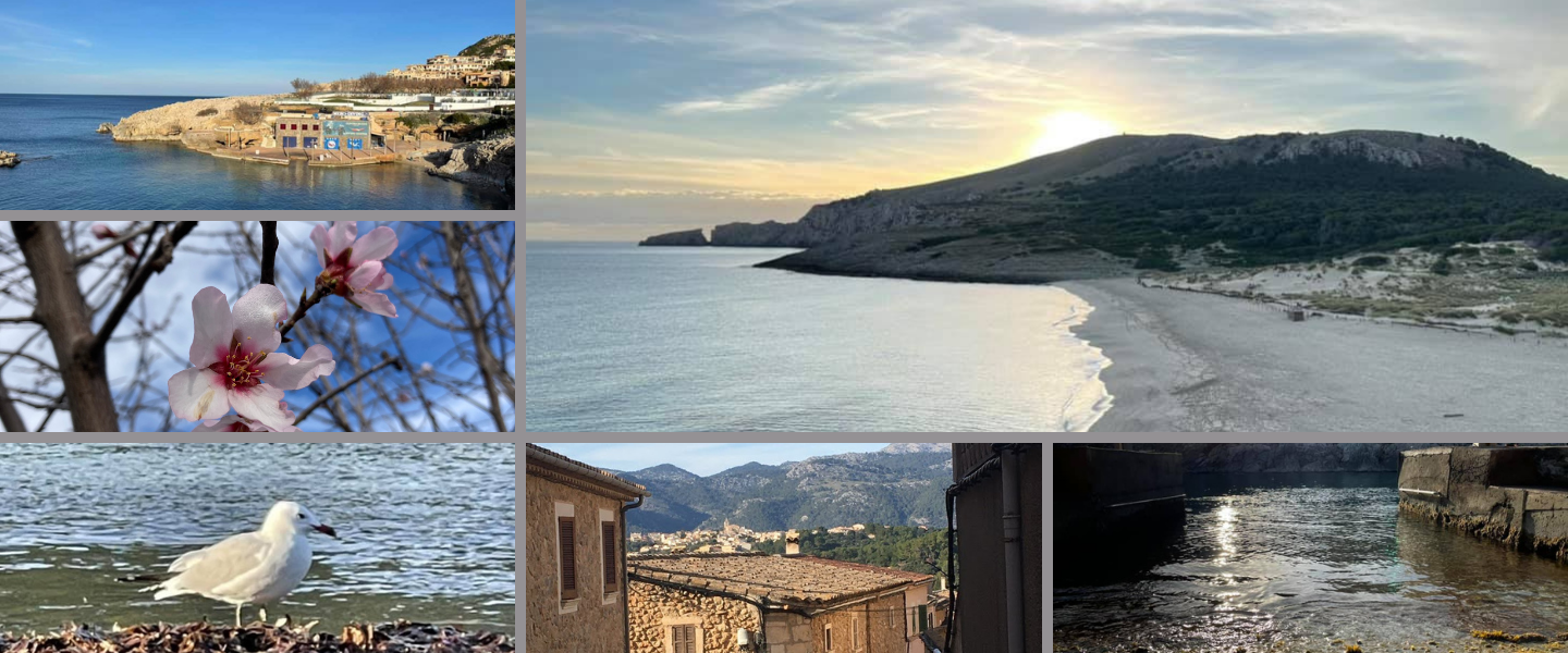 Facebook Lives from the island – Frank & Laura take you with them!