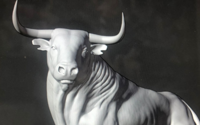 Life-size bulls – Frank’s new project