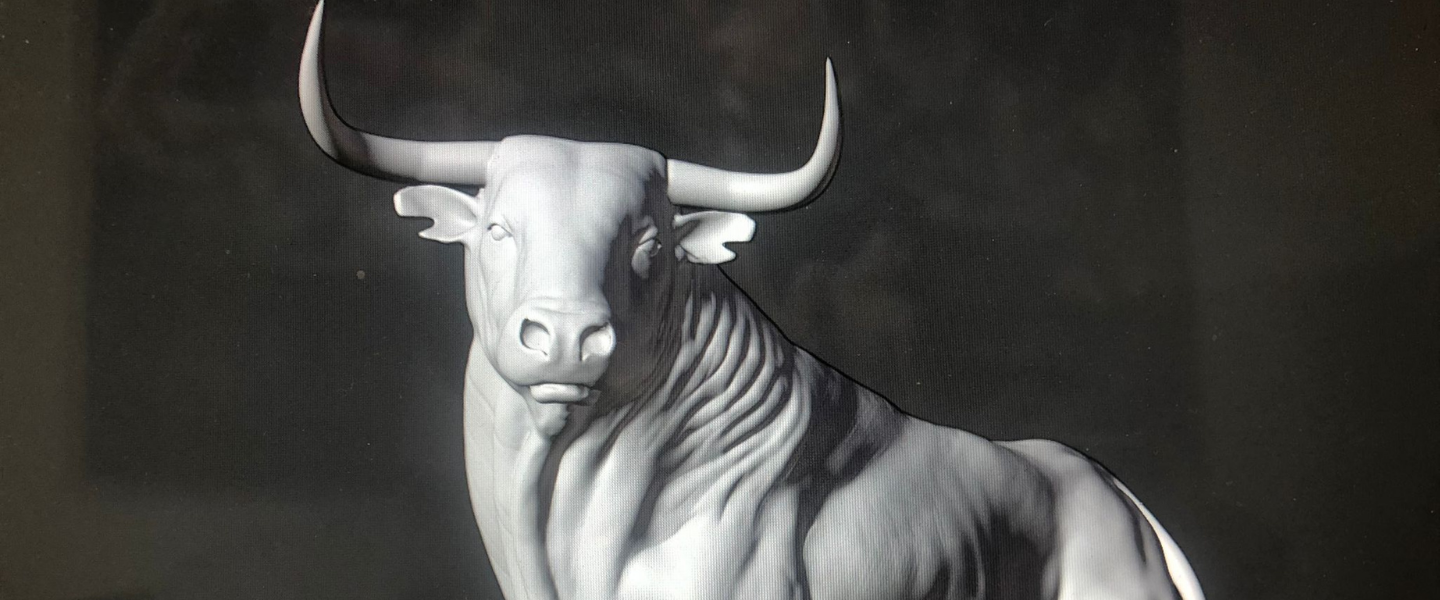Life-size bulls – Frank’s new project