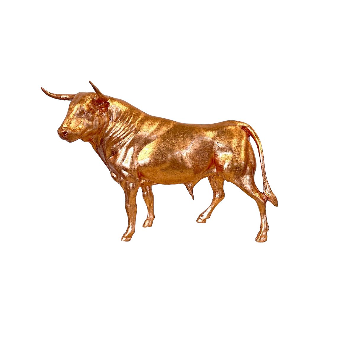Bull Joaquin