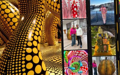 Birthday Surprise for Frank – Kusama’s World